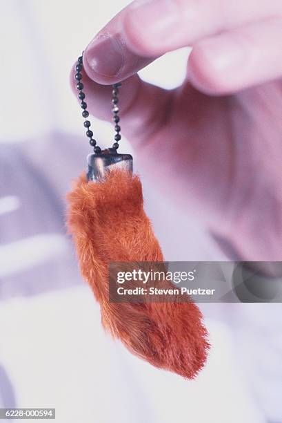 rabbit's foot charm - rabbits foot stock pictures, royalty-free photos & images