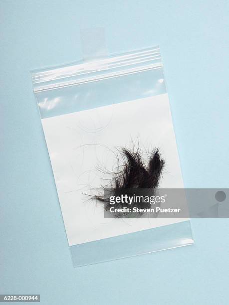 hair in plastic bag - kriminaltechnik stock-fotos und bilder