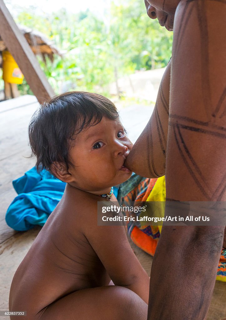 Panama, Darien province, Bajo Chiquito, Woman of the native indian Embera tribe breastfeeding her baby...