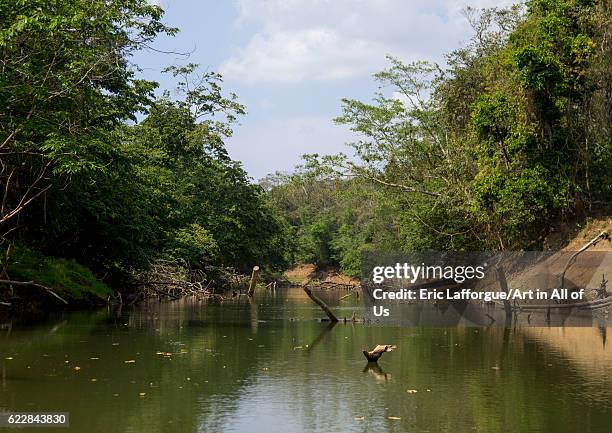 Panama, Darien province, Alto Playona, Río Chucunaque on April 13, 2015 in Alto Playona, Panama.