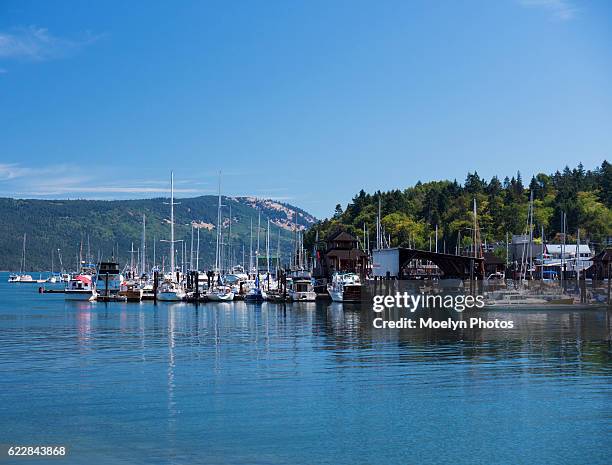 cowichan bay marina - cowichan bay stock pictures, royalty-free photos & images