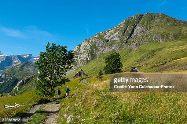 plateau de saugue, hautes pyrenees, france - hautes pyrenees stock pictures, royalty-free photos & images