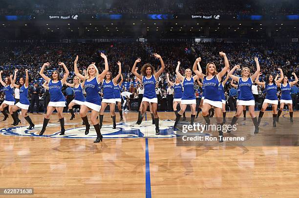 The Toronto Raptors Dance Team performs before a game against the New York Knicks on November 12, 2016 at the Air Canada Centre in Toronto, Ontario,...