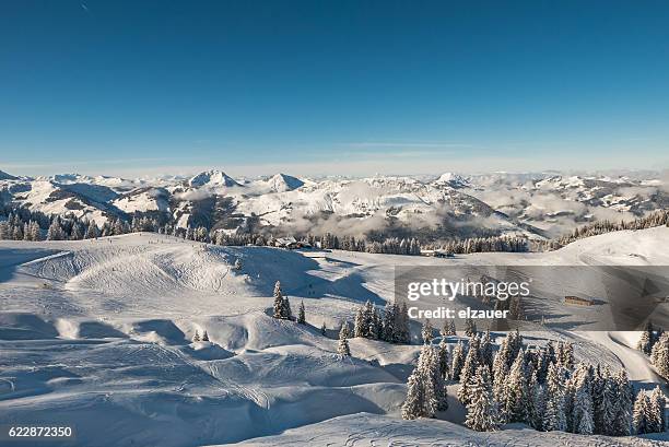 skiing in kitzbühel - kitzbuehel 個照片及圖片檔