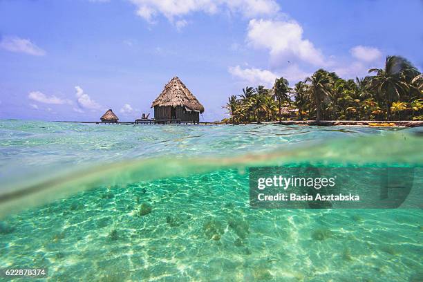 glovers reef - belize stock pictures, royalty-free photos & images