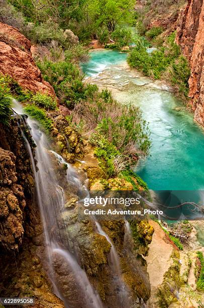 havasu creek grand canyon - mooney falls stock pictures, royalty-free photos & images