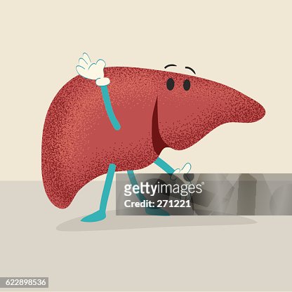 Retro Cartoon Of An Happy Healthy Human Liver High-Res Vector Graphic -  Getty Images