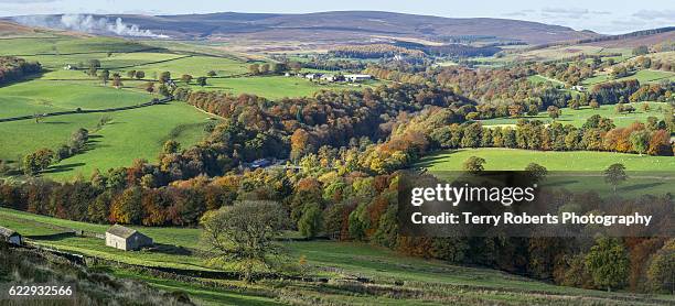 autumn in wharfedale - terry woods stock pictures, royalty-free photos & images