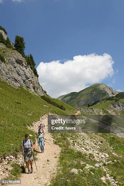 Pakistan Rofan 422 Rofan Stock Photos, High-Res Pictures, and Images - Getty Images