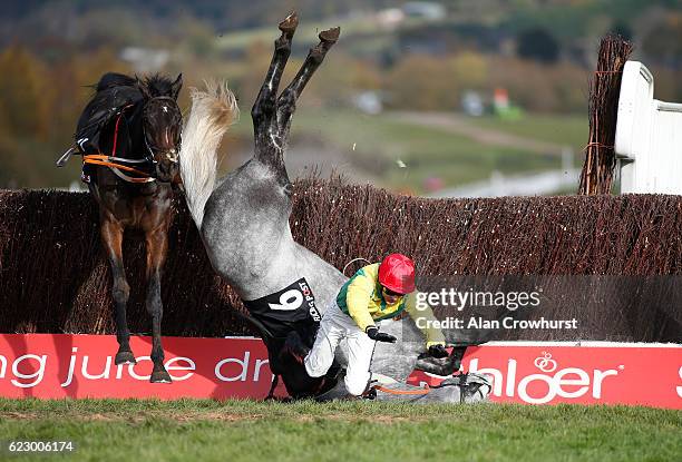 Aidan Coleman falls from Mick Thonic at Cheltenham Racecourse on November 13, 2016 in Cheltenham, England.