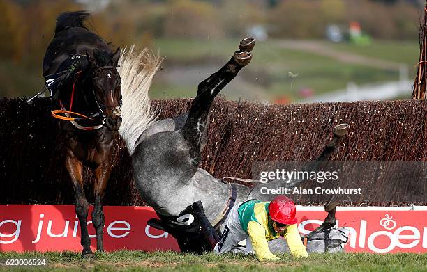 Aidan Coleman falls from Mick Thonic at Cheltenham Racecourse on November 13, 2016 in Cheltenham, England.