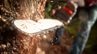 preview clip thumb