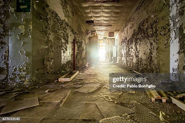 abandoned corridor in the chernobyl exclusion zone, pripyat, ukraine - tschernobyl stock-fotos und bilder