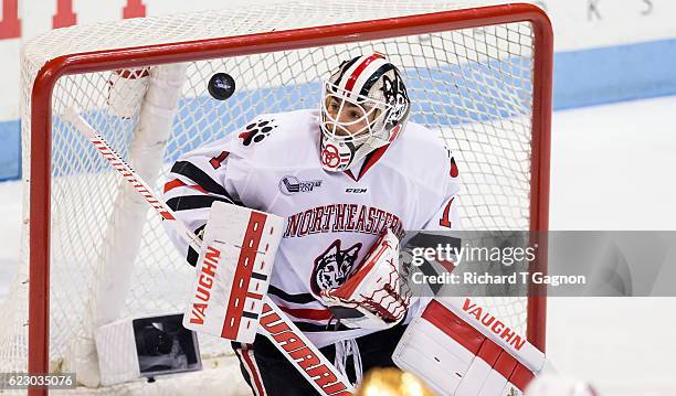Jake Theut of the Northeastern Huskies makes a save against the Notre Dame Fighting Irish during NCAA hockey at Matthews Arena on November 13, 2016...