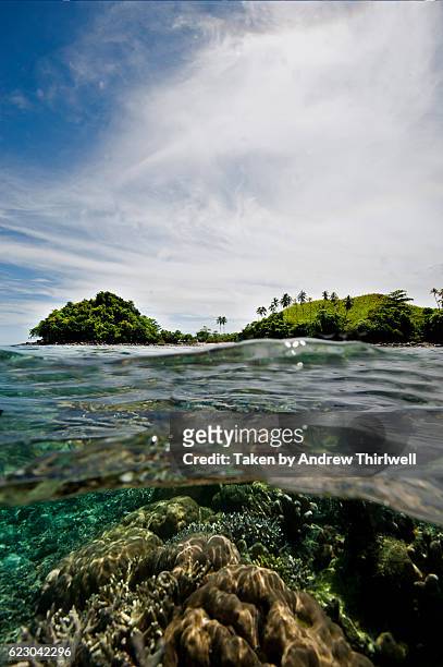 island paradise half in half out - palau stockfoto's en -beelden