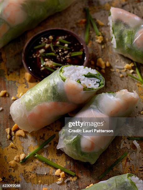 shrimp and rice noodle salad rolls - hoisin sauce stock pictures, royalty-free photos & images