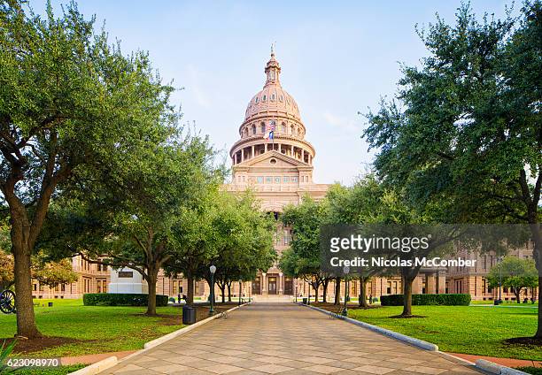 baum gesäumter weg zum texas capitol in austin - texas state flag stock-fotos und bilder