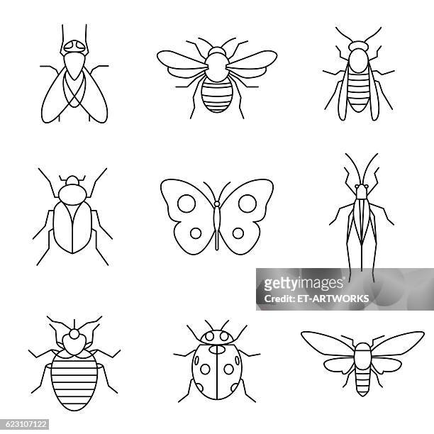 stockillustraties, clipart, cartoons en iconen met insect icons - computerbug