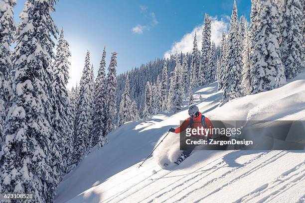 skifahren im pulverschnee  - wintersport stock-fotos und bilder
