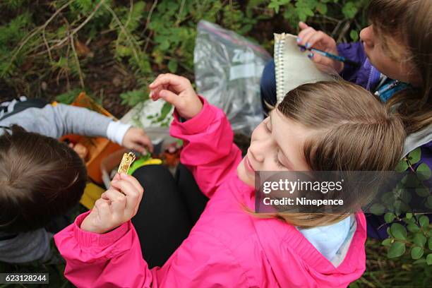 geocaching - geocaching stock pictures, royalty-free photos & images