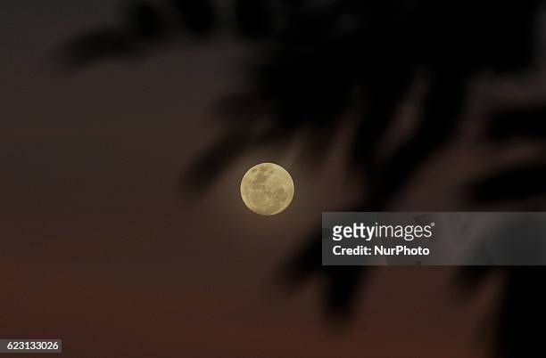 The moon rises beyond Buenos Aires, Argentina on Sunday, Nov. 13, 2016. On Monday the supermoon will be the closest full moon to earth since 1948,...