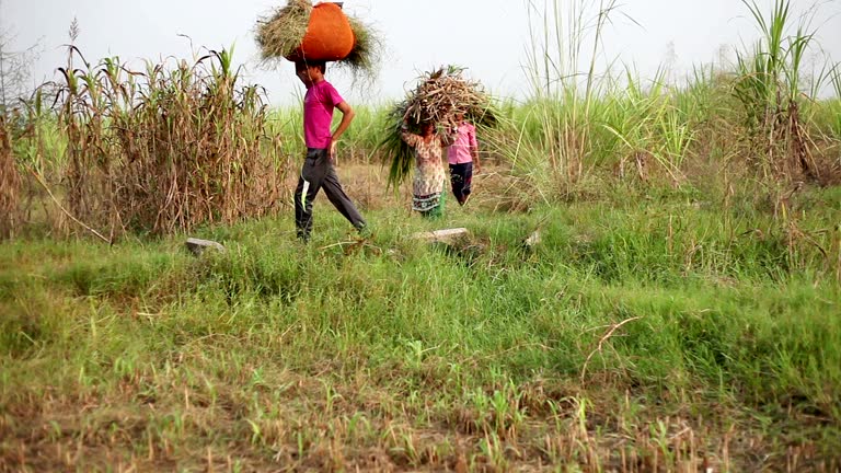 7,226 Poverty In India Stock Videos, Footage, & 4K Video Clips - Getty ...