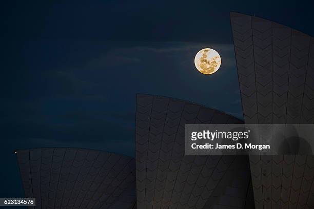 The moon rises behind the Opera House on November 14, 2016 in Sydney, Australia. A super moon occurs when a full moon passes closes to earth than...