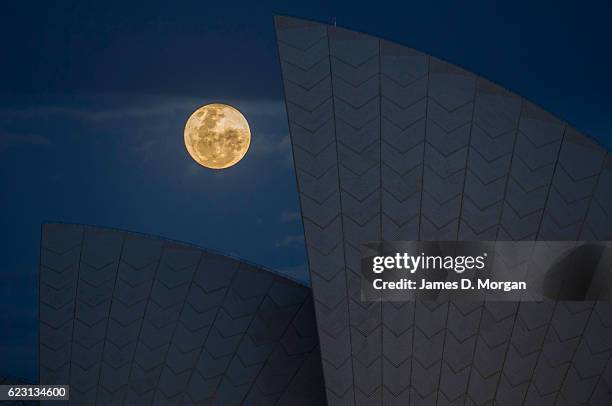 The moon rises behind the Opera House on November 14, 2016 in Sydney, Australia. A super moon occurs when a full moon passes closes to earth than...