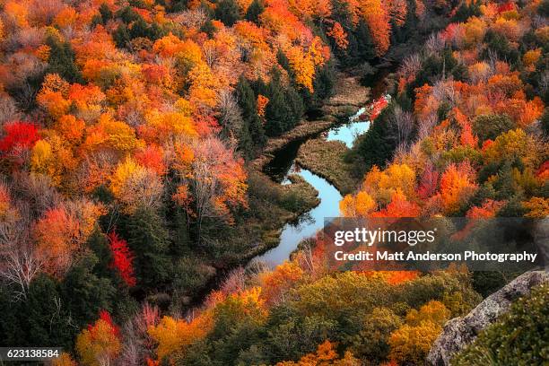 lake of the clouds in peak fall color - michigan landscape stock pictures, royalty-free photos & images