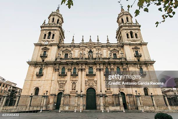 jaen cathedral - asunción stock pictures, royalty-free photos & images