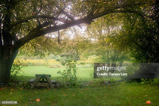 scenic country yard - grand rapids michigan stock photos et images de collection