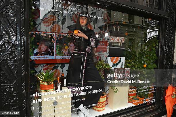 Erin O'Connor poses in the shop window as she takes part in the Cointreau project at Liberty London on November 14, 2016 in London, England.