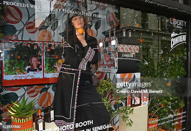 Erin O'Connor poses in the shop window as she takes part in the Cointreau project at Liberty London on November 14, 2016 in London, England.