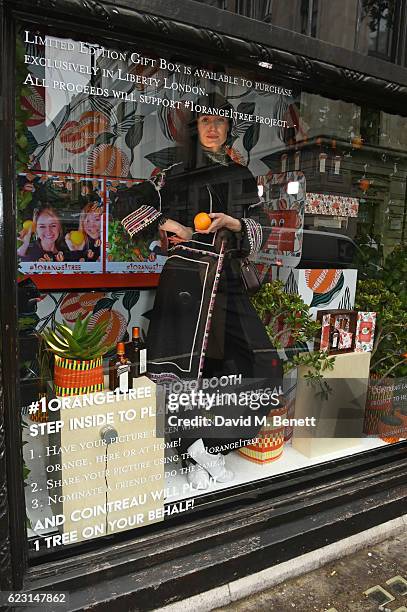 Erin O'Connor poses in the shop window as she takes part in the Cointreau project at Liberty London on November 14, 2016 in London, England.