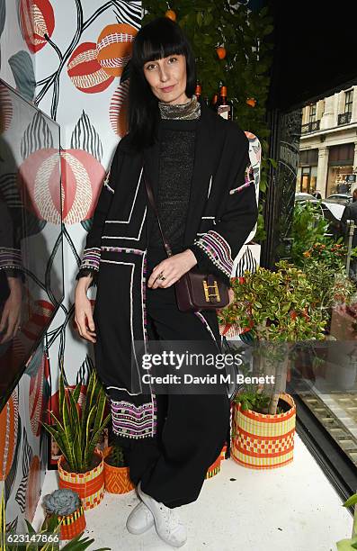 Erin O'Connor takes part in the Cointreau project at Liberty London on November 14, 2016 in London, England.