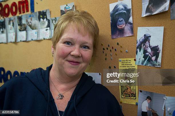 Gander and area SPCA manager Bonnie Harris poses with a photo of Unga, left, and Kosana, the chimpanzees that she had to rescue from the cargo hold...