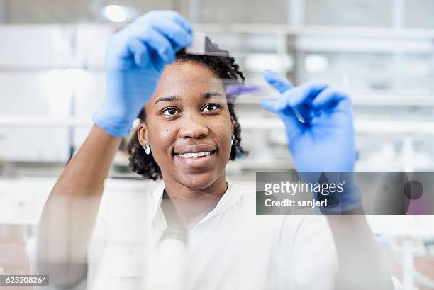 scientist looking at a microscope slide - woman scientist bildbanksfoton och bilder