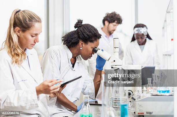 science laboratory - medical research group stock pictures, royalty-free photos & images