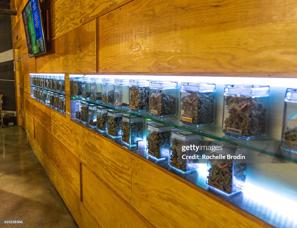 New Amsterdam Naturals, Los Angeles Premiere Cannabis Collective