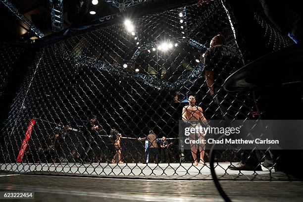 Conor McGregor during Men's Lightweight fight vs Eddie Alvarez at Madison Square Garden. New York, NY CREDIT: Chad Matthew Carlson
