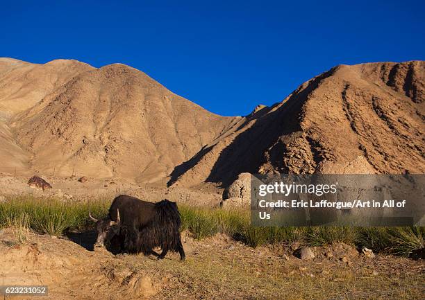 Kyrgyz tombs near Karakul lake, Xinjiang Uyghur Autonomous Region, China on September 22, 2012 in Tashkurgan, China.