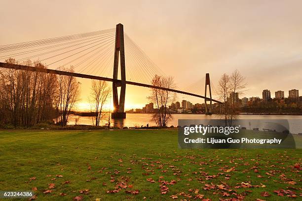 the skybridge is a cable-stayed bridge for sky trains between new westminster and surrey - vancouver train stock pictures, royalty-free photos & images