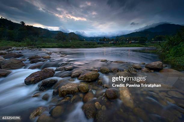 nature in khiriwong village - socialist international stock pictures, royalty-free photos & images