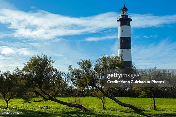 lighthouse of chassiron,oleron island, poitou charente, charente maritime, france - oléron stock pictures, royalty-free photos & images