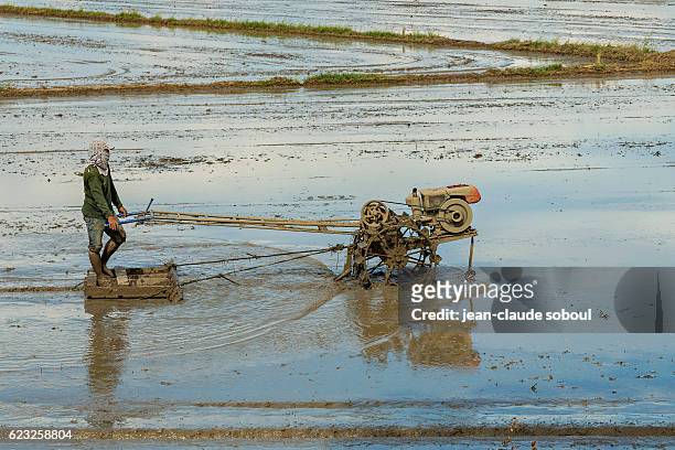 farmer with iron buffalo in hua hin province (thailand) - prachuap khiri khan province fotografías e imágenes de stock