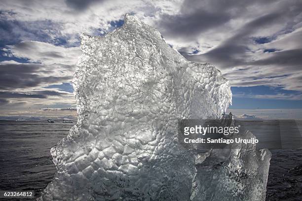 close-up of magnificent iceberg at jokulsarlon beach - partiell lichtdurchlässig stock-fotos und bilder