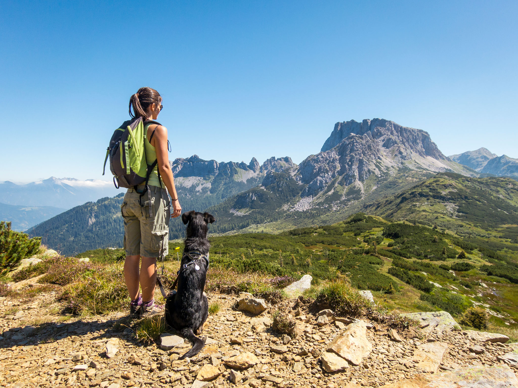beautiful woman enjoying the view with dog in the mountain beautiful woman enjoying the view with dog in the mountain