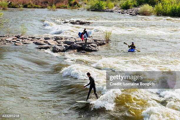 people surf and kayak brennan's wave in missoula montana usa - missoula stock pictures, royalty-free photos & images