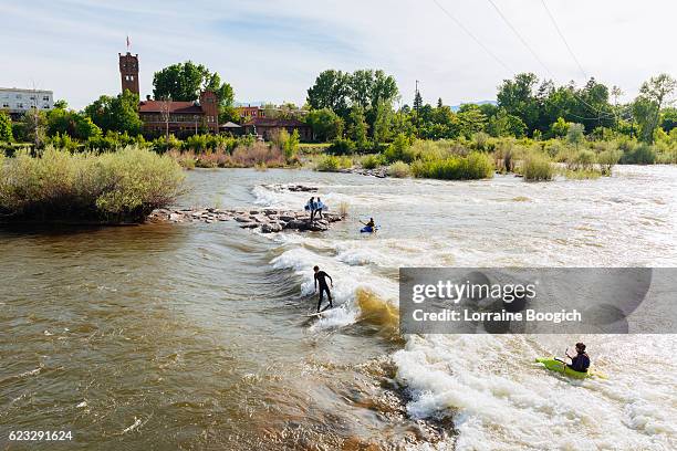 people surf and kayak brennan's wave in missoula montana usa - missoula stock pictures, royalty-free photos & images