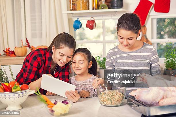 preparing turkey for holiday dinner - zoom thanksgiving stock pictures, royalty-free photos & images